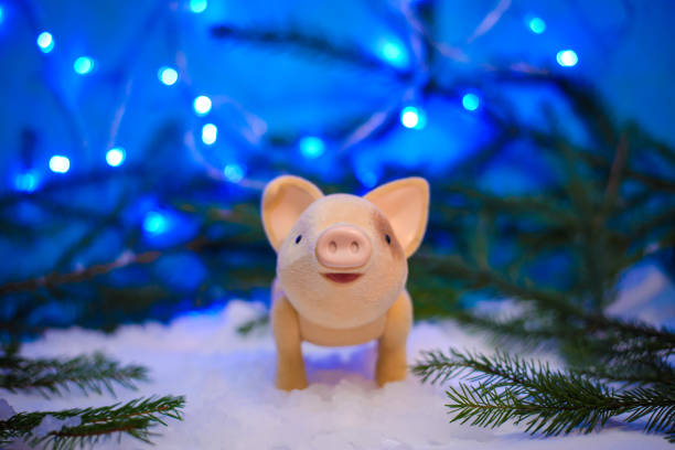 istock Christmas picture with a pig in the snow 1071284092