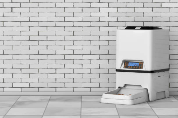 Automatic Electronic Digital Pet Dry Food Storage Meal Feeder Dispenser. 3d Rendering