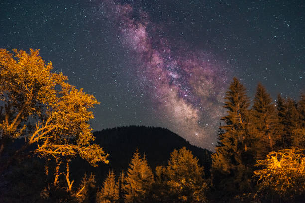 istock Milkyway and stars on night sky 1071293936