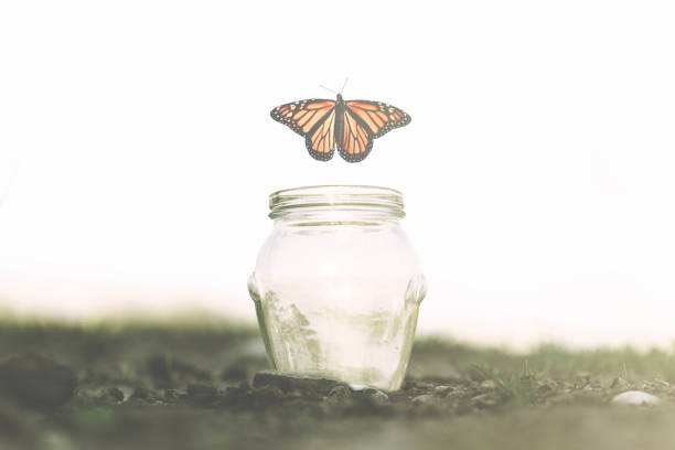 butterfly flies away fast from the glass jar in which she was trapped butterfly flies away fast from the glass jar in which she was trapped reincarnation stock pictures, royalty-free photos & images