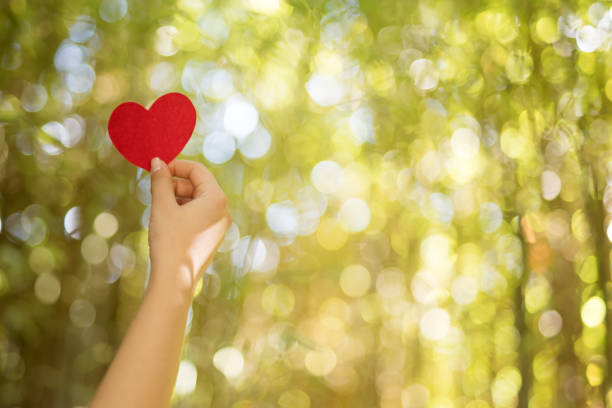 istock Woman hands holding red heart 1071307608