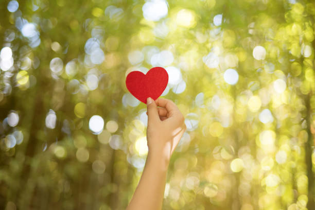 istock Woman hands holding red heart 1071307726