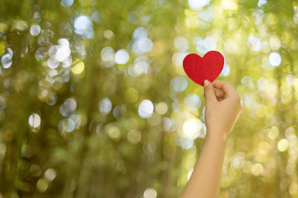 istock Woman hands holding red heart 1071307744