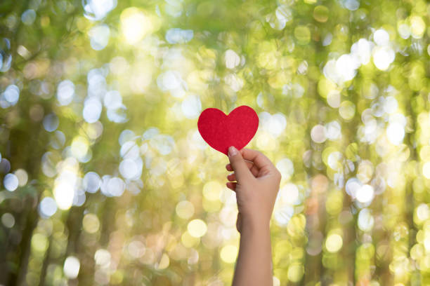 istock Woman hands holding red heart 1071307764