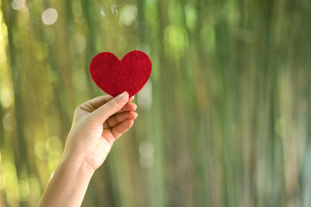 istock Woman hands holding red heart 1071307840