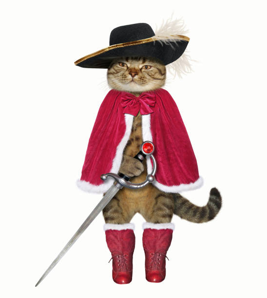 istock Cat in a red cloak with a sword 1071308166