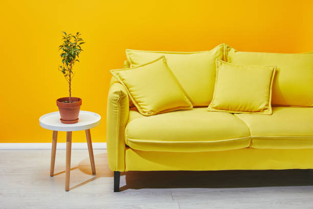 istock Sofa with plant on little coffee table near yellow wall 1071308774