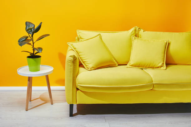 istock Sofa green plant on coffee table near yellow wall 1071308792