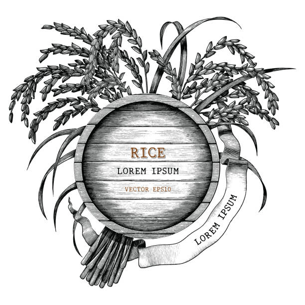 illustrazioni stock, clip art, cartoni animati e icone di tendenza di icona del concetto di riso disegna a mano lo stile di incisione vintage isolato su sfondo bianco - field brown text harvesting