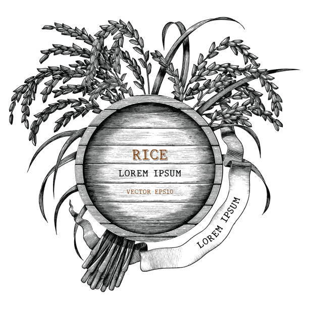 米コンセプト アイコン手描白い背景に分離されたビンテージ彫刻スタイル - rice white rice backgrounds cereal plant点のイラスト素材／クリップアート素材／マンガ素材／アイコン素材