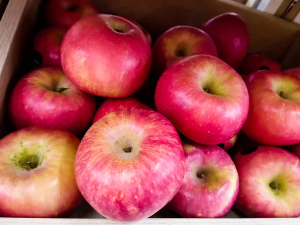 istock Red Apple The big ball of fresh 1071333734