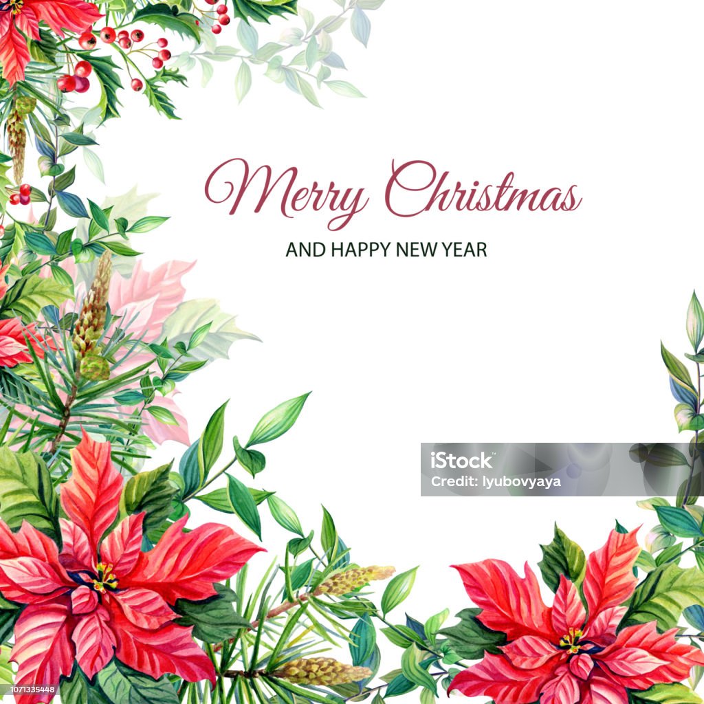 Ilustración de Flores En Acuarela Feliz Navidad Marco Con Rojo Flor De Pascua Acebo Hojas Bayas Pino Ramas De Abeto Verdes y más Vectores Libres de Derechos de Acebo - iStock Ilustración de Flores En Acuarela Feliz Navidad Marco Con Rojo Flor De Pascua Acebo Hojas Bayas Pino Ramas De Abeto Verdes y más Vectores Libres de Derechos de Acebo - iStock