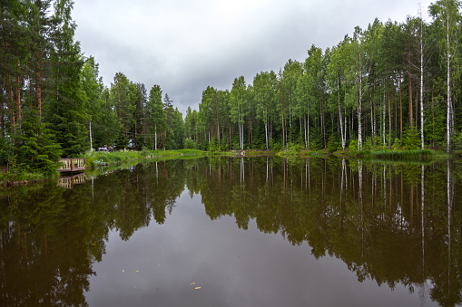 Summer Landscape, View of a Lake, Mirror Effect of the Trees on the Water. Mandrogi, Russia
