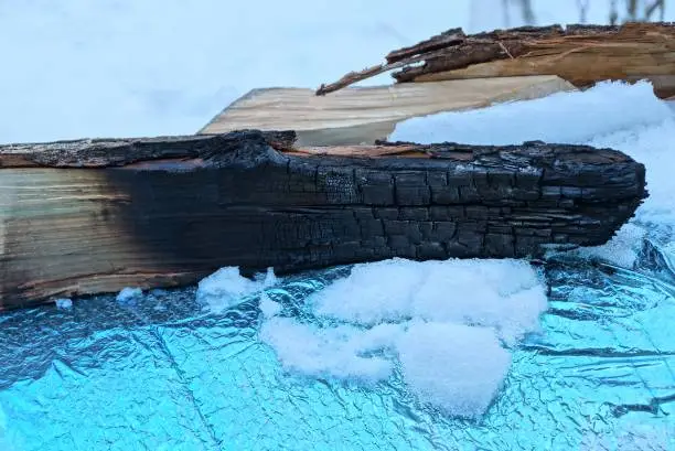 Photo of charred black log lies in white snow on a blue table