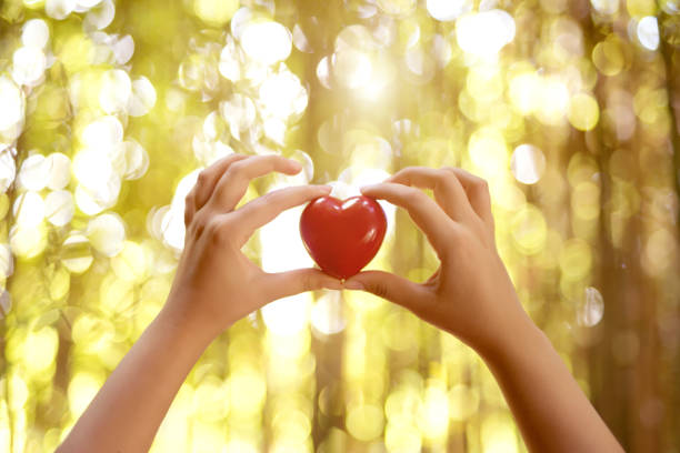istock Woman hands holding red heart 1071341150