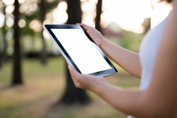 istock Woman holding digital tablet 1071351554