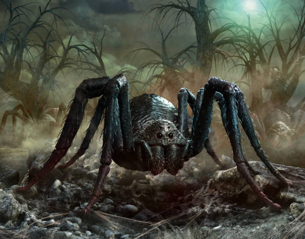 istock Giant spider scene 3D illustration 1071356628