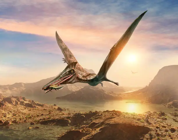 Pterosaur flying over a landscape scene 3D illustration