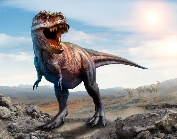 istock Tyrannosaurus rex scene 3D illustration 1071356682