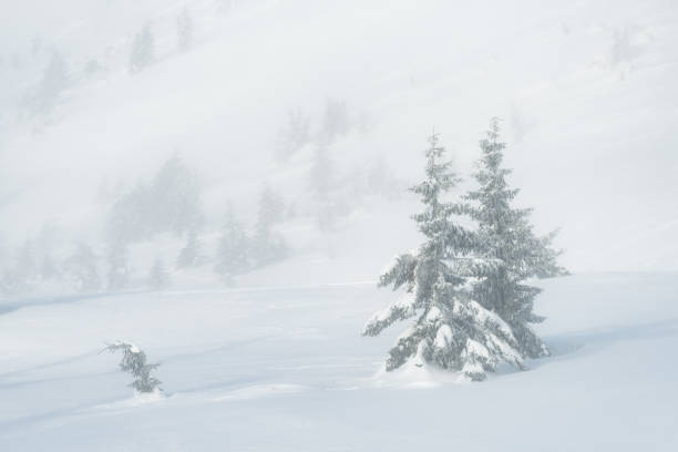 istock Winter landscape with fog in a mountain forest 1071359524