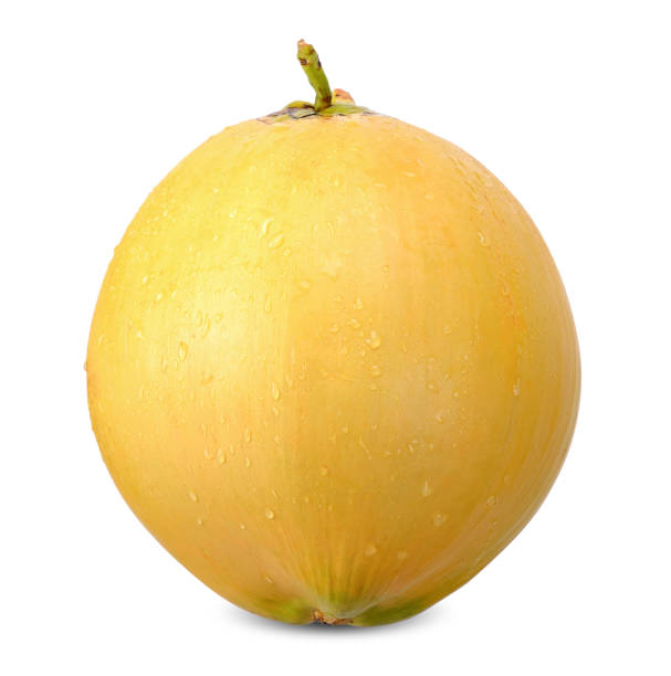 istock Yellow coconut isolated on white clipping path 1071362554