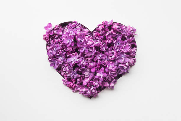 istock Valentines heart from lilac flowers 1071364902