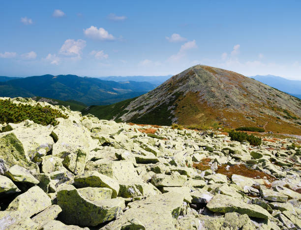 istock Summer landscape in mountains 1071365094