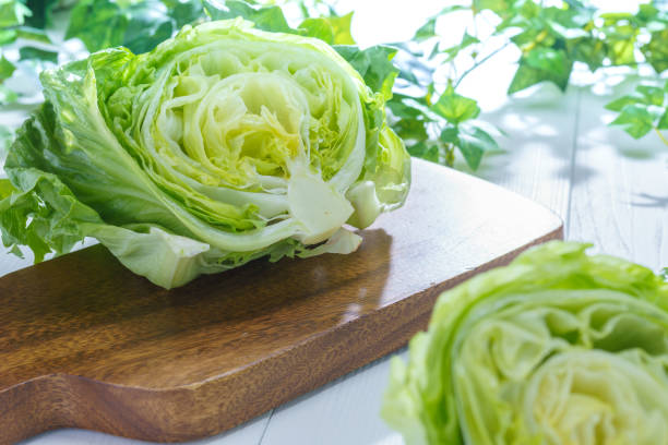 白い背景を持つレタス - letuce ストックフォトと画像