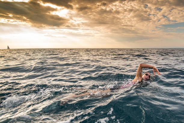 Open water swimmer swimming in sea Female open water swimmer swimming forward crawl in sea. neoprene photos stock pictures, royalty-free photos & images