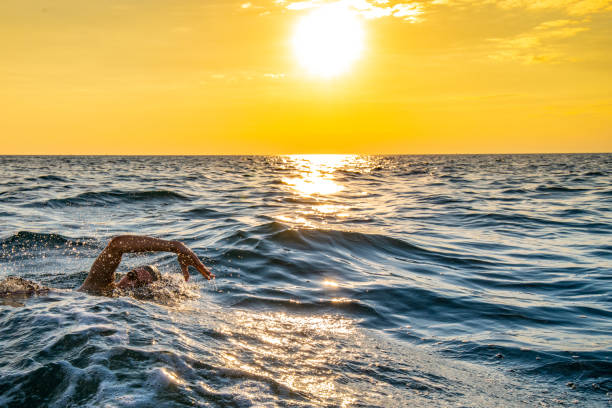 istock Open water swimmer swimming in sea 1071375780