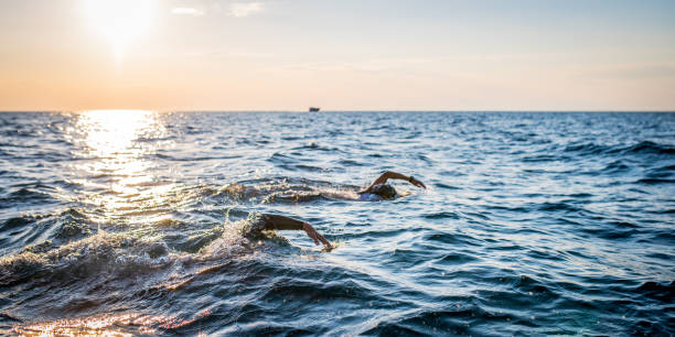 nuotatori in acque libere che nuotano davanti strisciano in mare - competitive sport competition swimming wetsuit foto e immagini stock