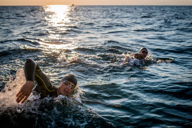 istock Open water swimmers swimming front crawl in sea 1071375800