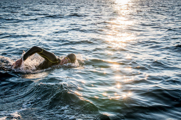 istock Open water swimmer swimming in sea 1071375810