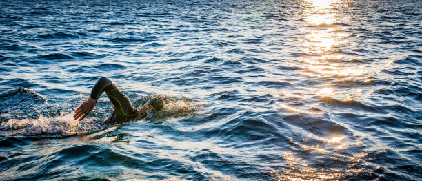 istock Open water swimmer swimming in sea 1071375816
