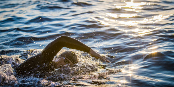 istock Open water swimmer swimming in sea 1071375826