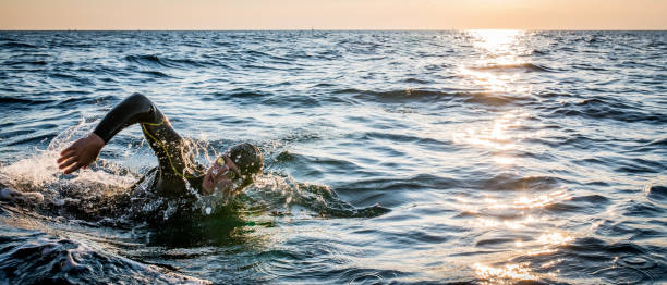 istock Open water swimmer swimming in sea 1071375828