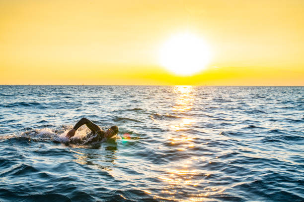 istock Open water swimmer swimming in sea 1071377414