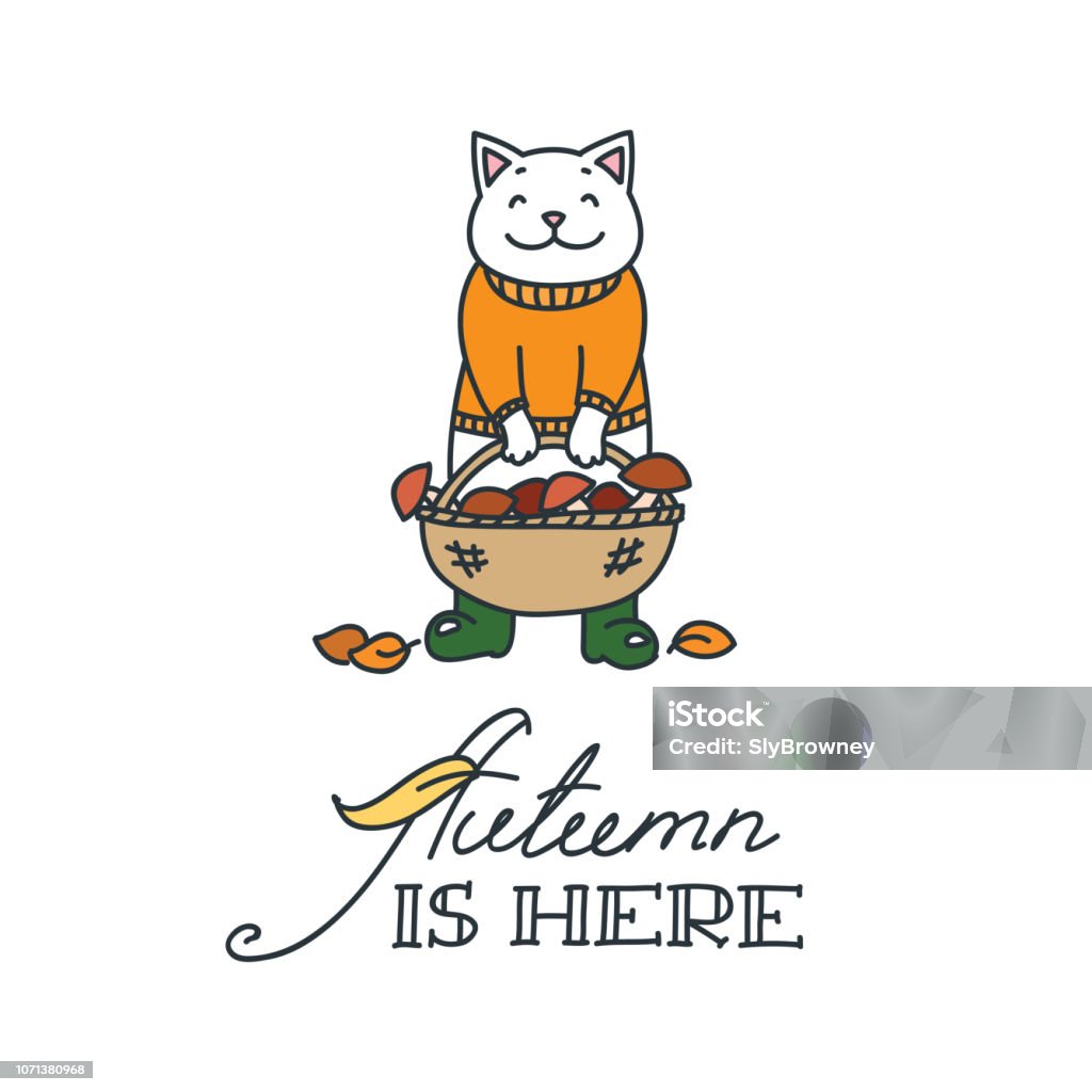 Autumn is here Doodle illustration of cute mushroom picker cat with basket of mushrooms. Can be used for t-short print, poster or card. Vector 8 EPS Domestic Cat stock vector