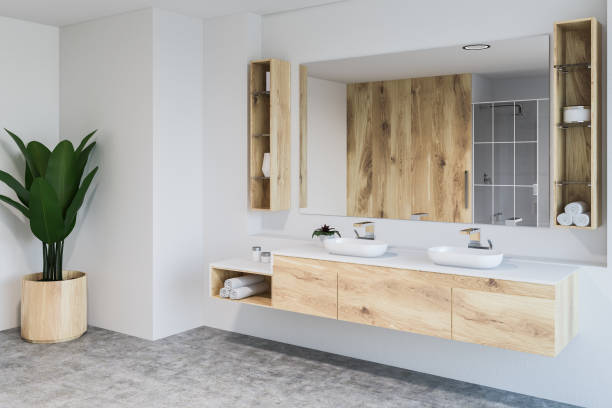 istock White bathroom corner, double sink and plant 1071384018