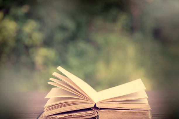istock Open books in the garden 1071390688