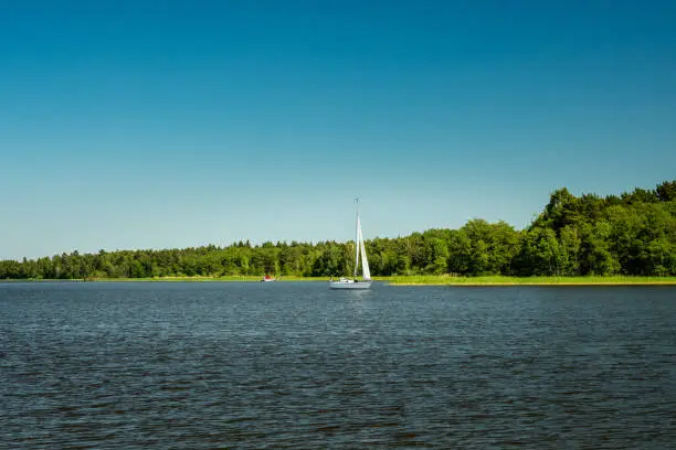 View across a lake of a small white sailing boat sailing in the summer sunshine with clear blue sky and green forest shore