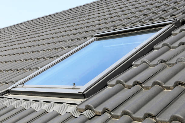 istock Skylight on a residential home, exterior shot 1071391160