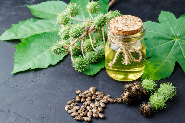 istock castor oil on the black table 1071393832