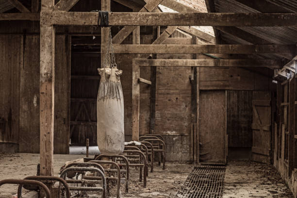 Boxing gym created in an abandoned farm