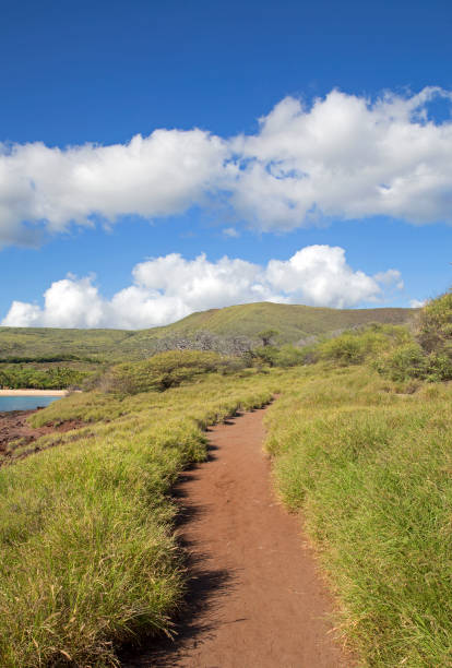 istock Little road to the beach 1071404748