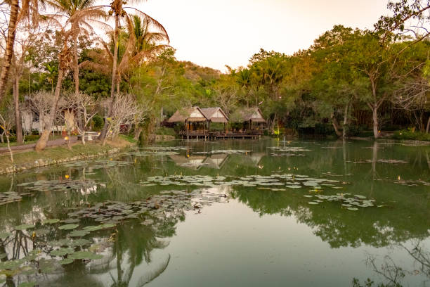 istock Peaceful pond with reflection on the water 1071406940