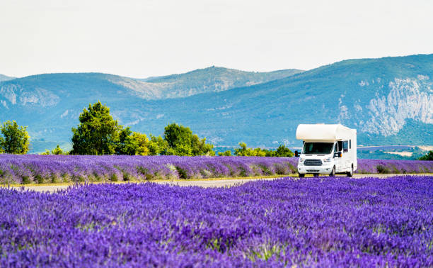 camper in un campo di lavanda in provenza, francia - flower nobody europe lavender coloured foto e immagini stock