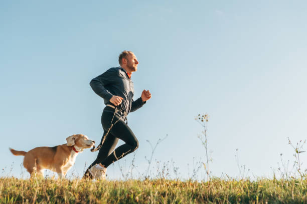 istock Sport activity with pet. Canicross exercises. Man runs with his beagle dog 1071416616