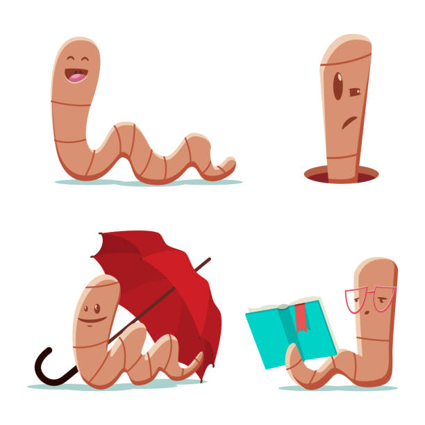 Worm Cartoon Stock Photos, Pictures & Royalty-Free Images - iStock Worm Cartoon Stock Photos, Pictures & Royalty-Free Images - iStock