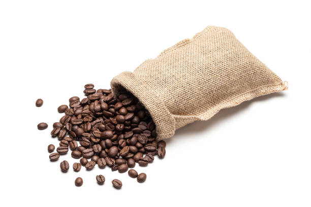 High angle view of a burlap sack filled with roasted coffee beans laying down on white background. Some roasted coffee beans are spilled out the sack. Predominant colors are brown and white. High key DSRL studio photo taken with Canon EOS 5D Mk II and Canon EF 100mm f/2.8L Macro IS USM.
